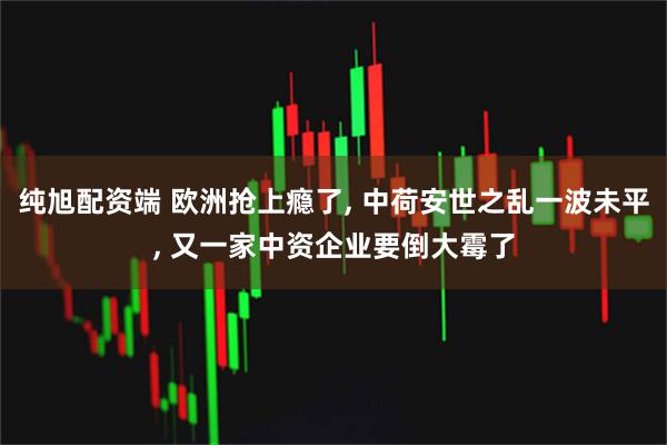 纯旭配资端 欧洲抢上瘾了, 中荷安世之乱一波未平, 又一家中资企业要倒大霉了
